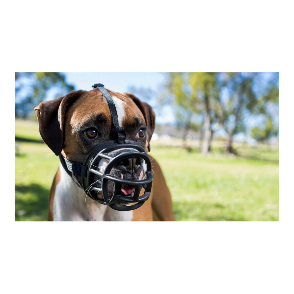 Muzzle Company of Animals Baskerville Ultra Black (6 x 26 cm)