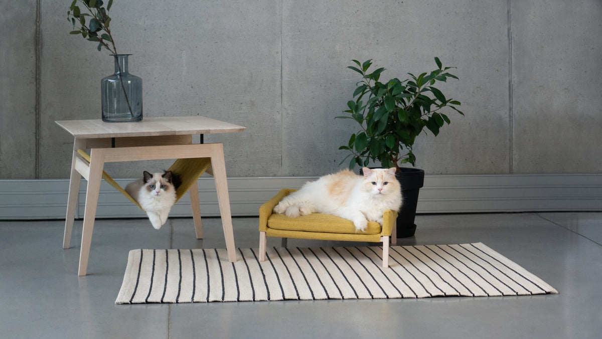 Kikko Table & Lulu Bed for Cat - Honey