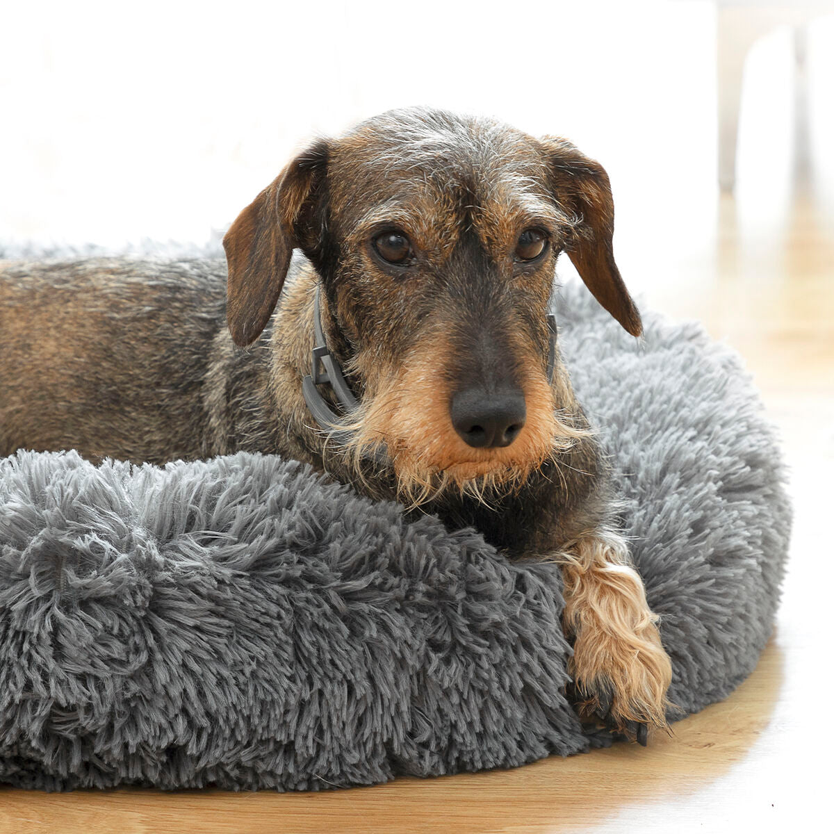Anti-stress Pet Bed Bepess InnovaGoods