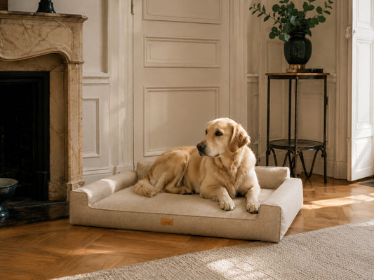 Mano Dog Bed with Removable Cover – Taupe, L
