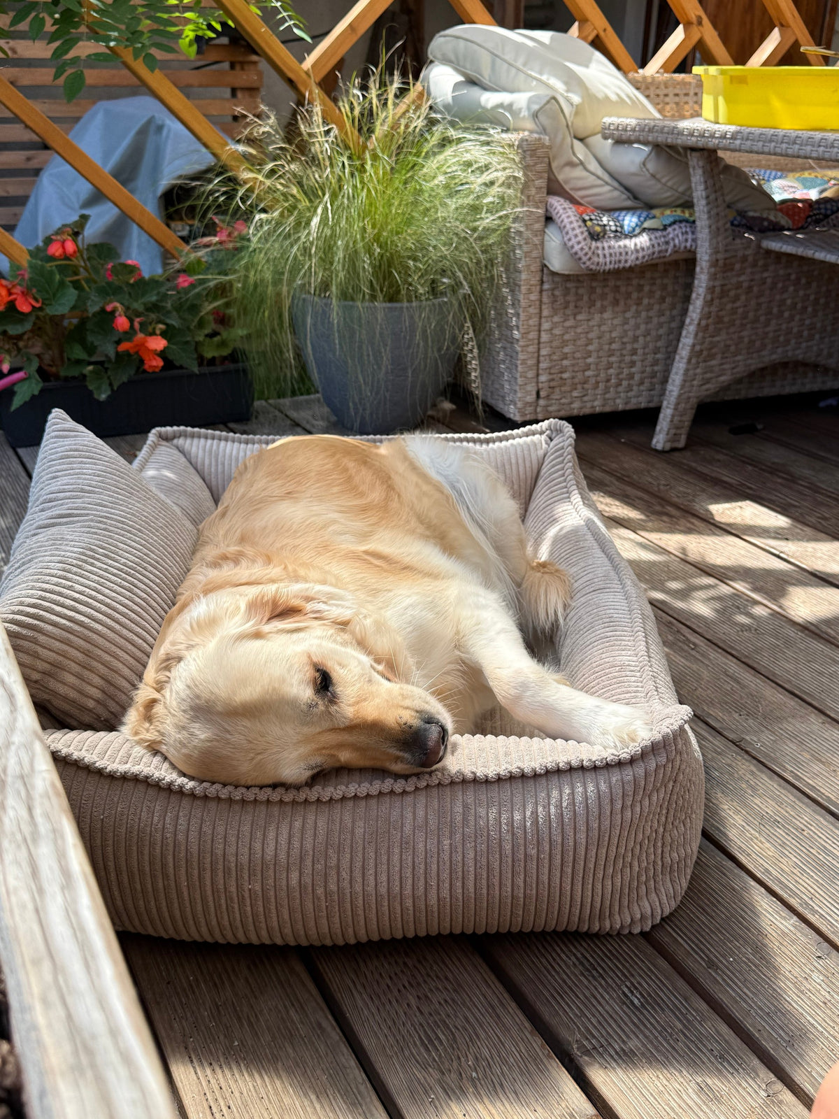 Lodie Corduroy Dog Sofa with Removable Cover – Olive Green, L