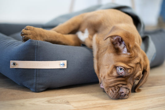 Stokke Dog Bed - Grey 